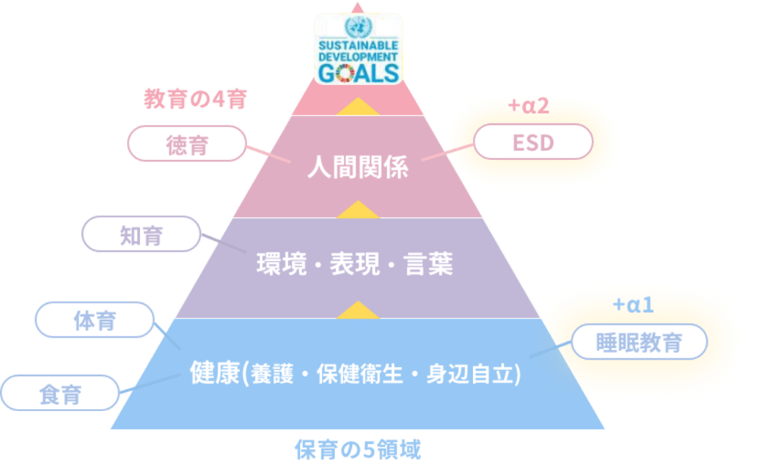 保育の5領域(人間関係、環境、表現、言葉、健康)教育の4育(徳育、知育、体育、食育)＋睡眠教育、ESD